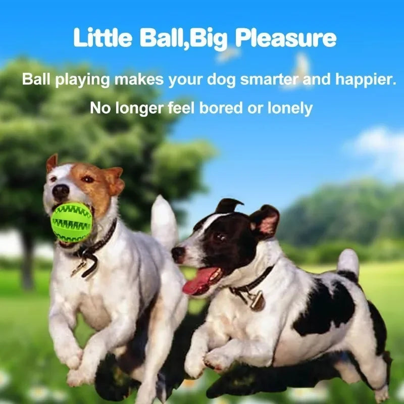 Bolt Bounce Unleashing Tail-Wagging Fun with the Shockwave of Canine Entertainment