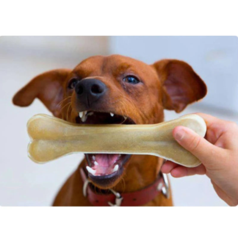 Exciting New Dog Bone Chews for Playful Pups!"